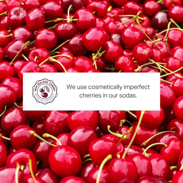 New Zealand cherry rescue project feature image