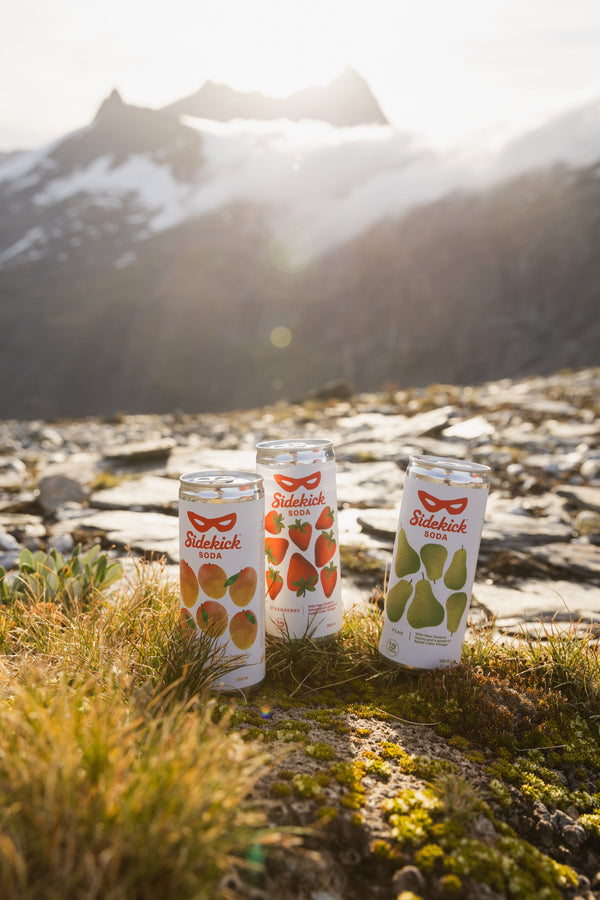 Sidekick Soda at Wilmot Saddle, New Zealand
