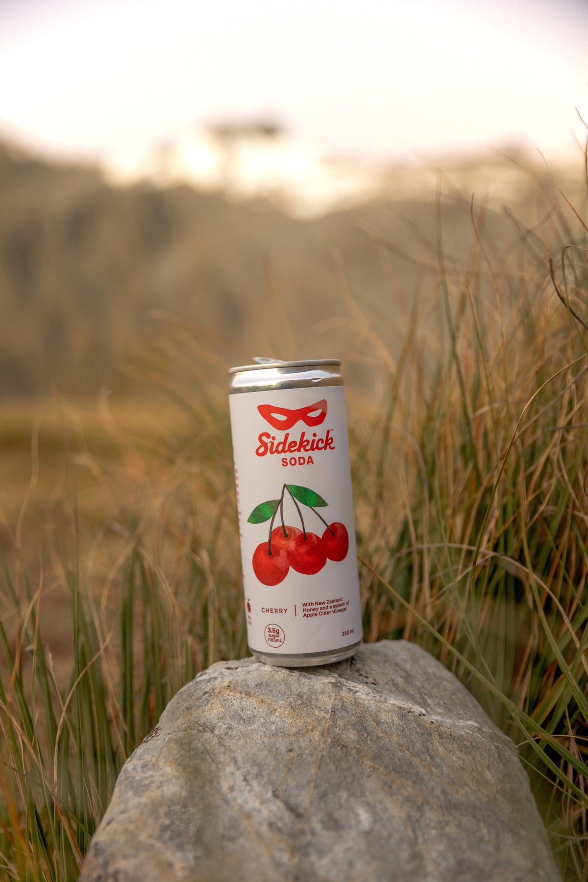 Sidekick New Zealand outdoors