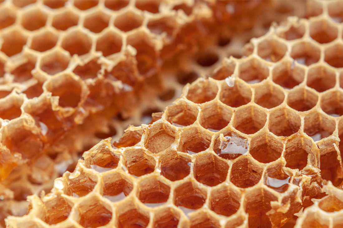 Honey vs. Artificial Sweeteners: Which Is Better for You?