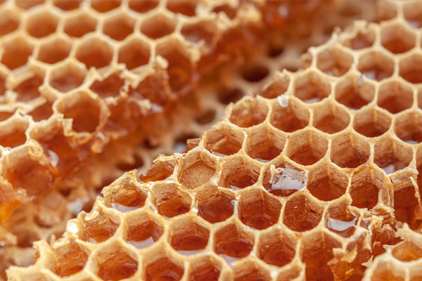 Featured image for “Honey vs. Artificial Sweeteners: Which Is Better for You?”