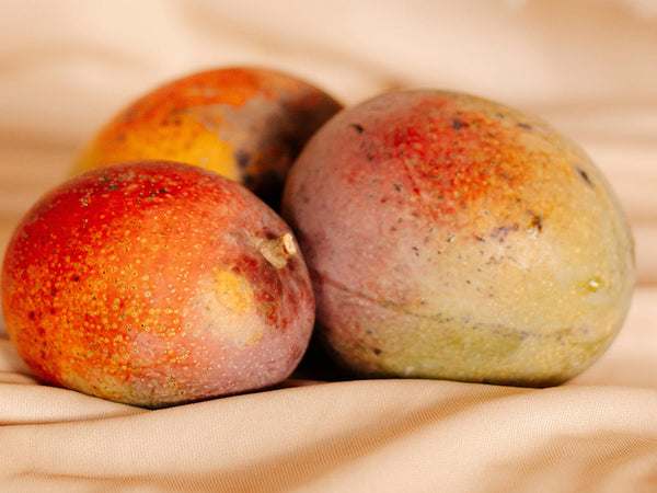 Fresh ripe mangoes
