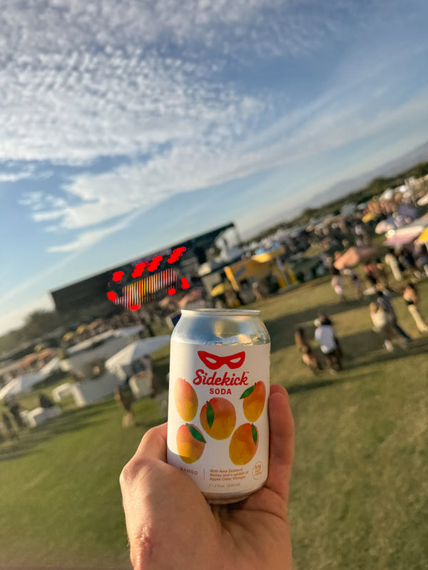 Sidekick Mango at an outdoor festival