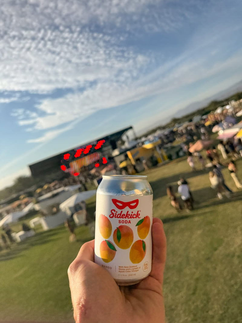 Sidekick Mango at an outdoor festival
