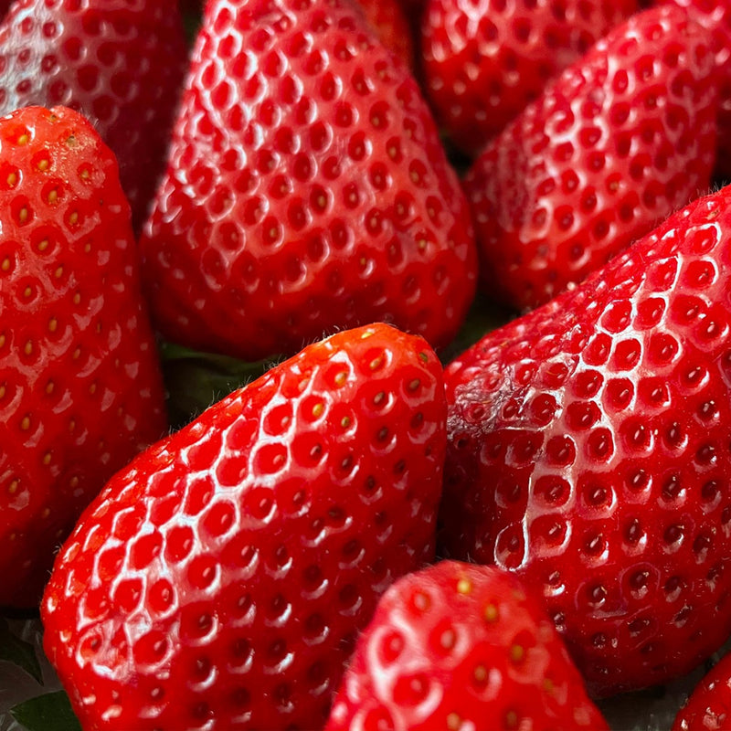 Bowl of fresh strawberries